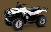 2010 Honda FourTrax Recon photo